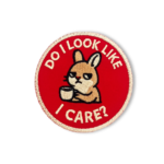 Do I Look Like I Care? Patch – 3" Embroidered Hook & Loop Morale Patch